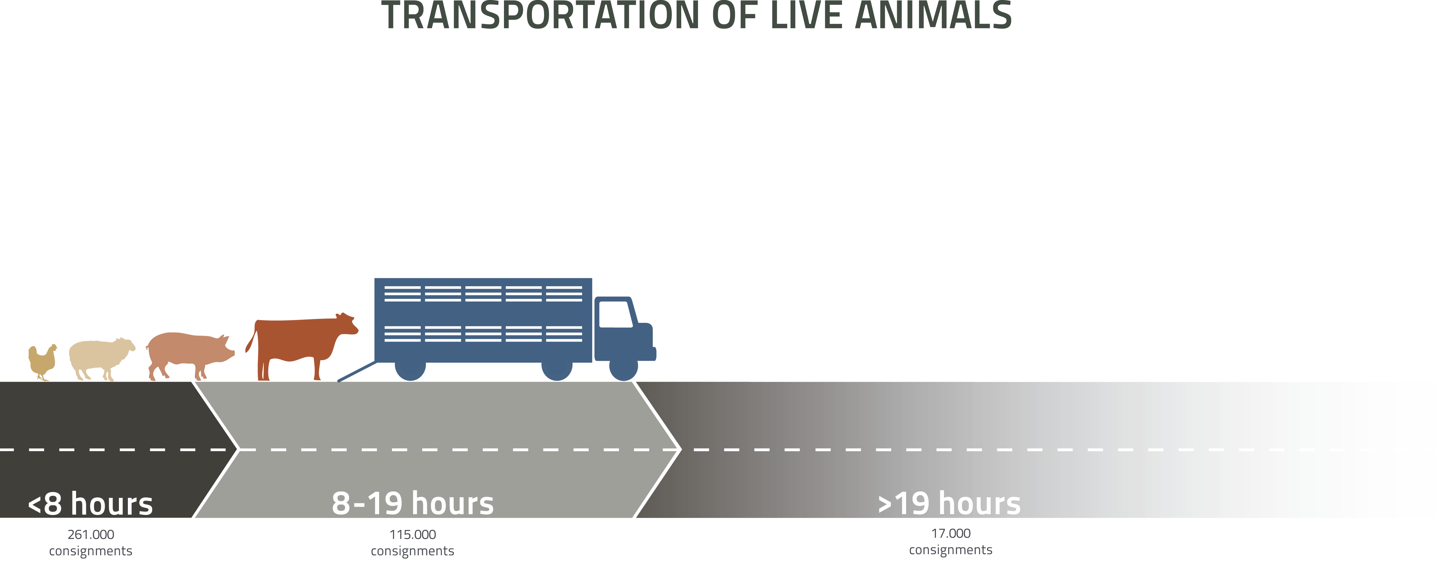 Transportation