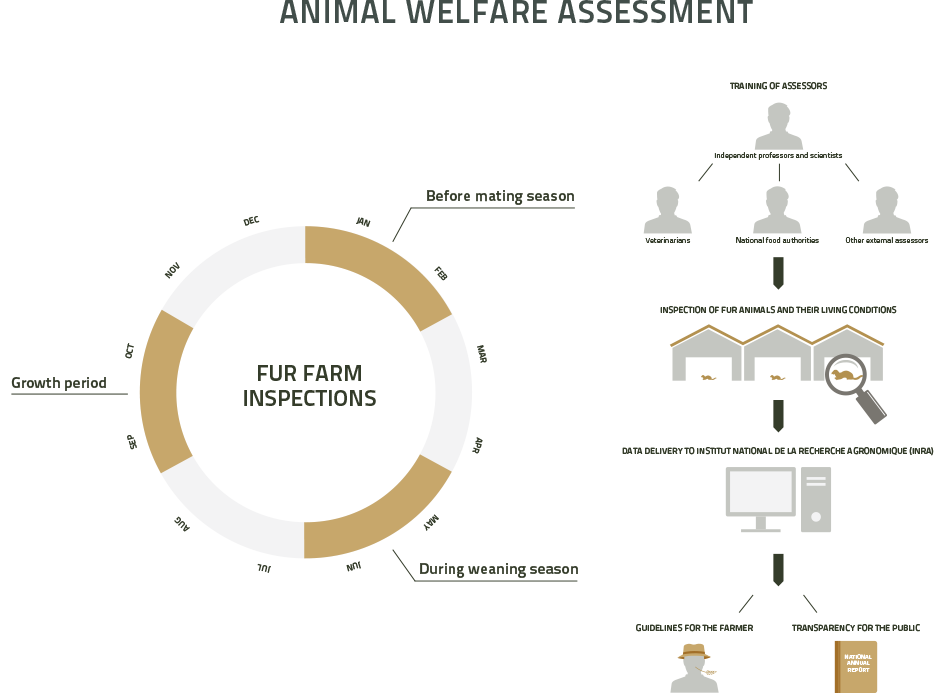 Welfur_implementation